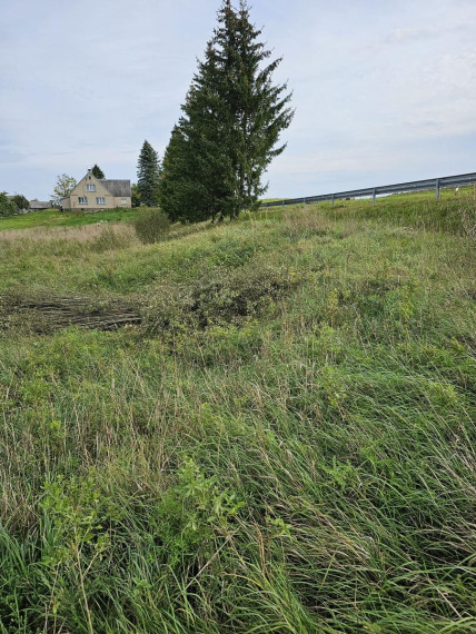 Parduodamas namas Žydavainių k., Molėtų r. sav., 72.00 m² ploto 3 kambariai 9