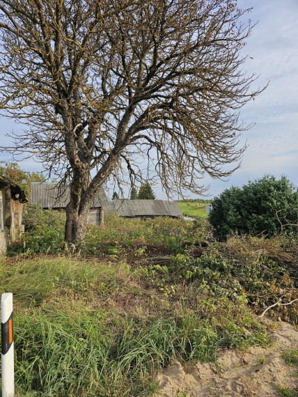 Parduodamas namas Žydavainių k., Molėtų r. sav., 72.00 m² ploto 3 kambariai 16