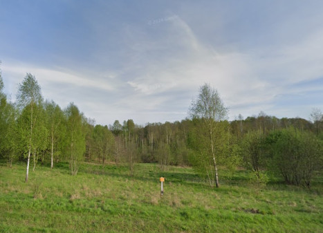 Parduodamas sklypas Strėvininkų k., Trakų r. sav., 100 a ploto Parduodamas sklypas Strėvininkų k., Trakų r. sav., 100 a ploto