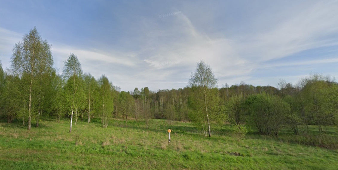 Parduodamas  sklypas Strėvininkų k., Trakų r. sav., 100 a ploto 1