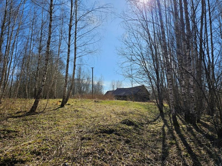 Parduodamas namas Kalvių k., Utenos r. sav., 60.00 m² ploto 4 kambariai 3