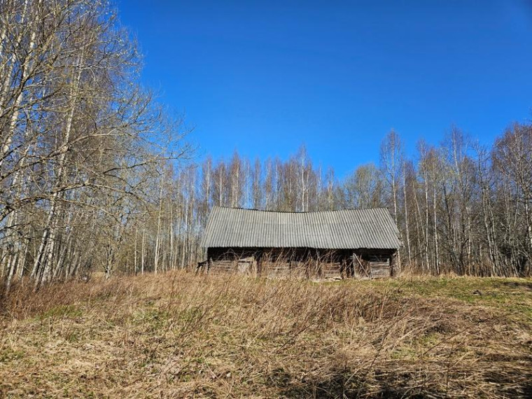 Parduodamas namas Kalvių k., Utenos r. sav., 60.00 m² ploto 4 kambariai 8