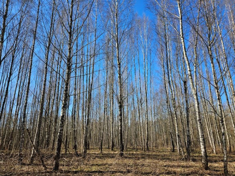 Parduodamas namas Kalvių k., Utenos r. sav., 60.00 m² ploto 4 kambariai 11