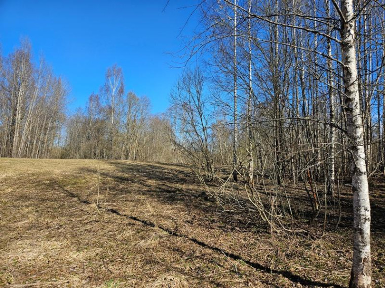 Parduodamas namas Kalvių k., Utenos r. sav., 60.00 m² ploto 4 kambariai 12