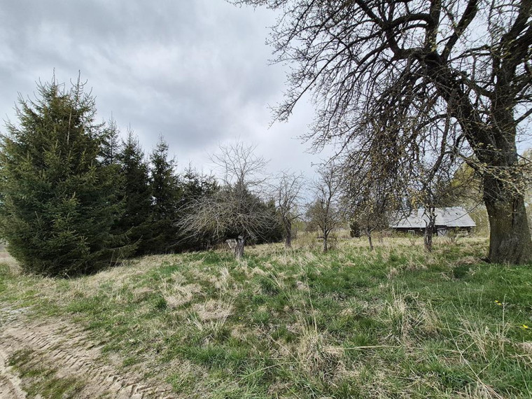 Parduodamas namas Dailidžių k., Molėtų r. sav., 55.27 m² ploto 2 kambariai 8