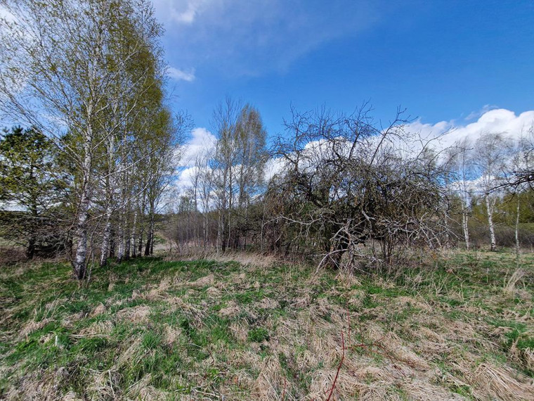 Parduodamas namas Dailidžių k., Molėtų r. sav., 55.27 m² ploto 2 kambariai 9