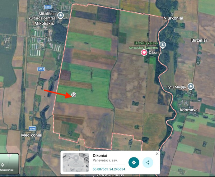 Parduodamas  sklypas Dikonių k., Panevėžio r. sav., 772 a ploto 2