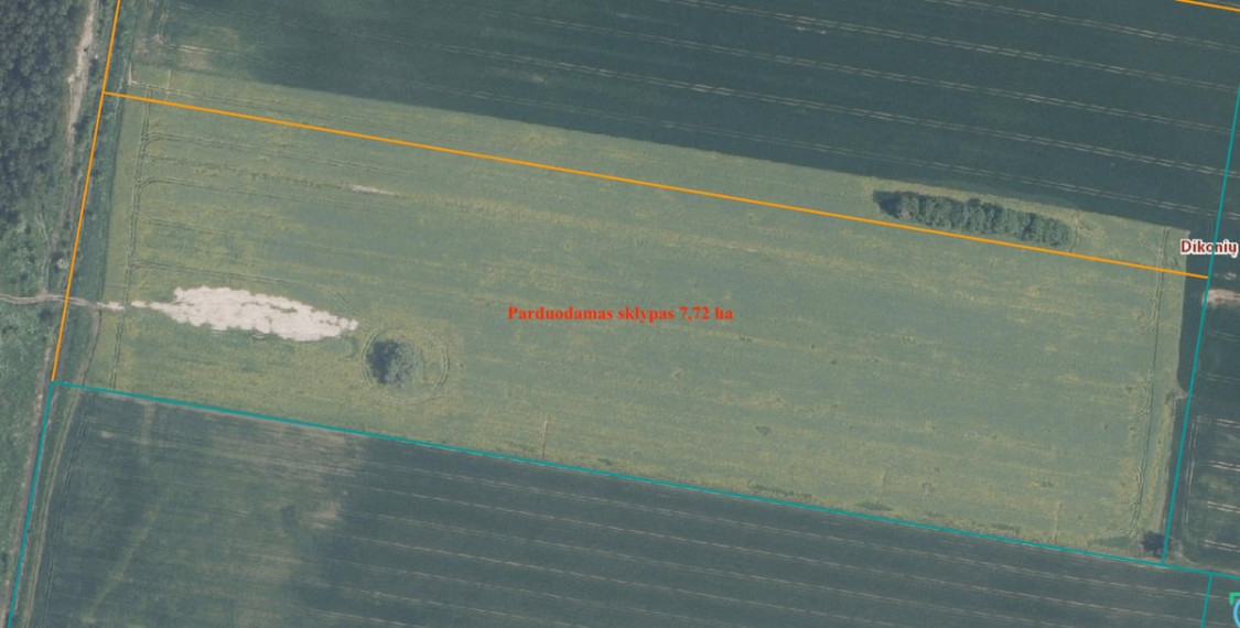 Parduodamas  sklypas Dikonių k., Panevėžio r. sav., 772 a ploto 5
