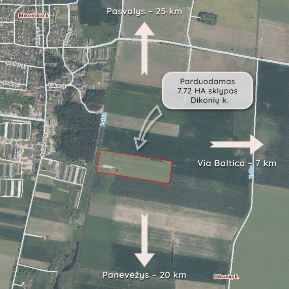 Parduodamas  sklypas Dikonių k., Panevėžio r. sav., 772 a ploto 1