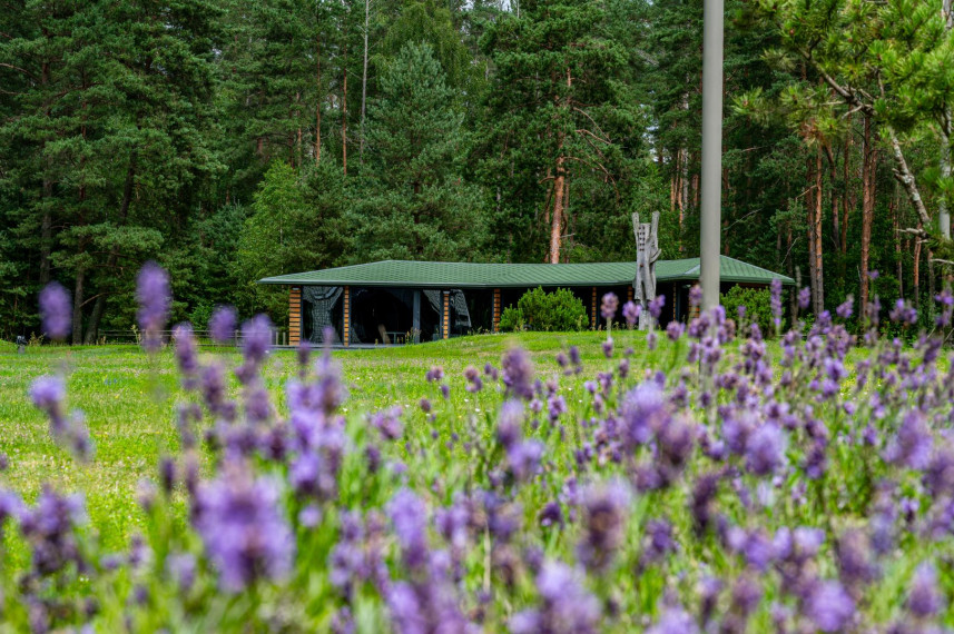 Parduodamas namas Žaliosios k., Anykščių r. sav., 530.00 m² ploto 12 kambarių 40