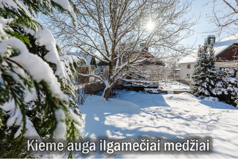 Parduodamas namas Dailidžių g., Vilniaus m., Vilniaus m. sav., 353 m2 ploto, 2 aukštai 28