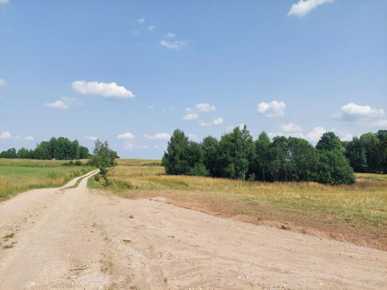 Parduodamas sklypas Antakalnių k., Utenos r. sav., 33.00 a ploto 11