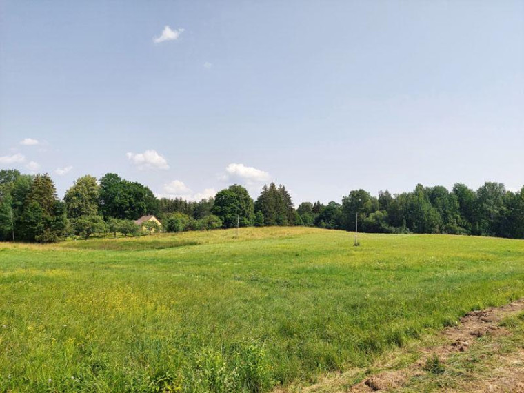 Parduodamas sklypas Antakalnių k., Utenos r. sav., 33.00 a ploto 7