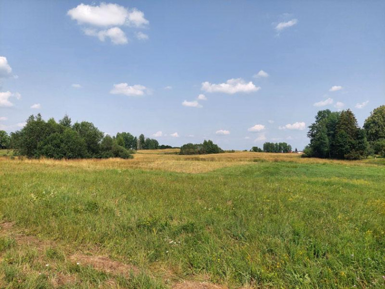 Parduodamas sklypas Antakalnių k., Utenos r. sav., 33.00 a ploto 8