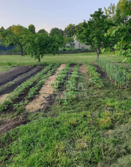 Parduodamas  sklypas Sodų g., Kretingos m., Kretingos r. sav., 15 a ploto 3