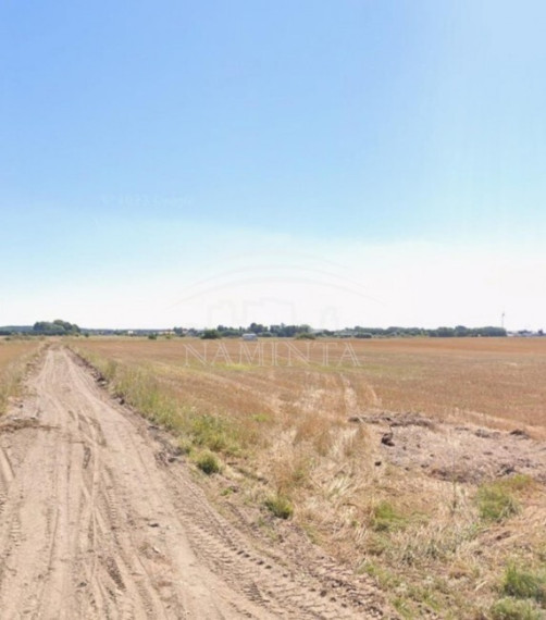 Parduodamas  sklypas Kiauleikių k., Kretingos r. sav., 16 a ploto 2