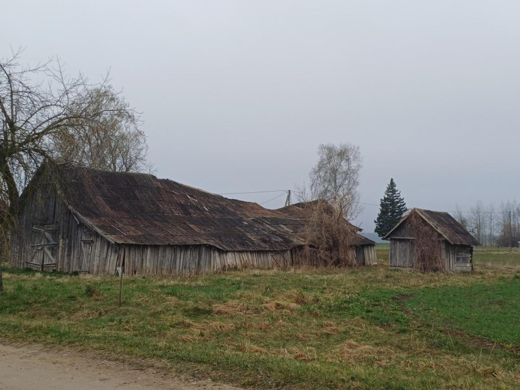 Parduodamas namas Daujėnų g., Porijų k., Pasvalio r. sav., 60.83 m² ploto 3 kambariai 20
