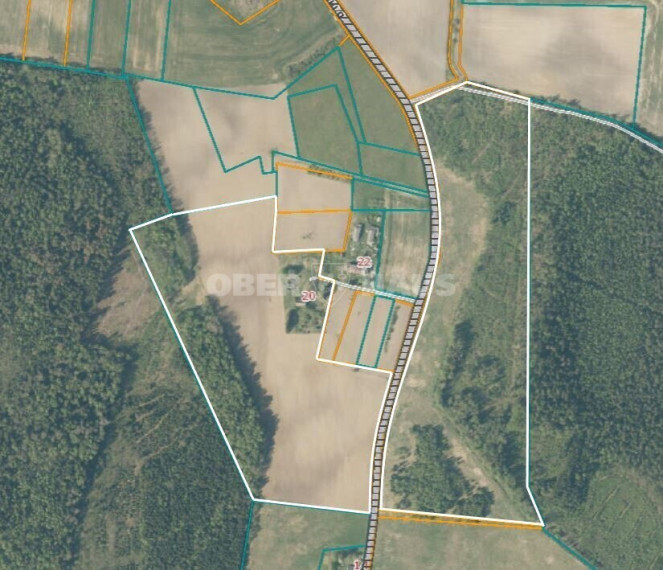 Parduodamas žemės ūkio paskirties sklypas Šakinių g. , Šakinių k., Klaipėdos r. sav., 16450 a ploto 7