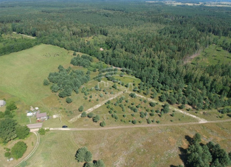 Parduodamas sklypas Sausdravų k., Kretingos r. sav., 10 a ploto Parduodamas sklypas Sausdravų k., Kretingos r. sav., 10 a ploto
