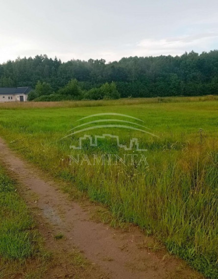 Parduodamas  sklypas Petreikių k., Kretingos r. sav., 17 a ploto 1