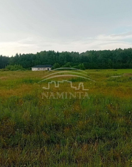 Parduodamas  sklypas Petreikių k., Kretingos r. sav., 17 a ploto 2