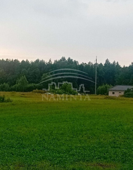 Parduodamas  sklypas Petreikių k., Kretingos r. sav., 17 a ploto 4