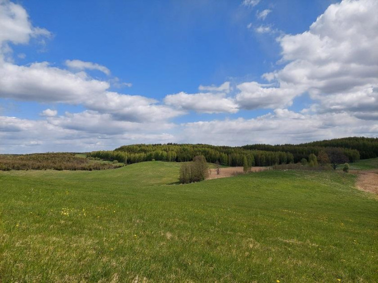 Parduodamas sklypas Šapaukos k., Zarasų r. sav., 200 a ploto 3