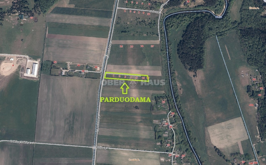 Parduodamas namų valdos paskirties sklypas Ąžuolų g., Traubių k., Klaipėdos r. sav., 100 a ploto 1