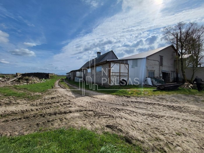Nuomojamos kitos paskirties patalpos Danės g., Trušelių k., Klaipėdos r. sav., 1000 m2 ploto 2