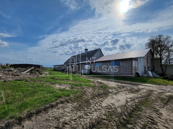 Nuomojamos kitos paskirties patalpos Danės g., Trušelių k., Klaipėdos r. sav., 1000 m2 ploto 4
