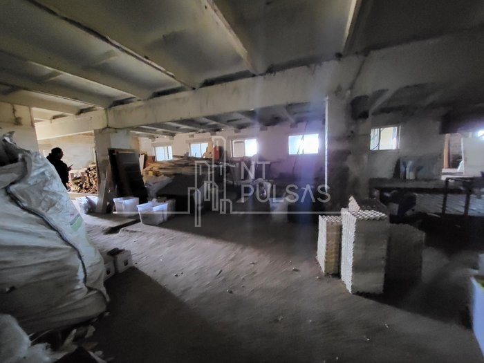 Nuomojamos kitos paskirties patalpos Danės g., Trušelių k., Klaipėdos r. sav., 1000 m2 ploto 7
