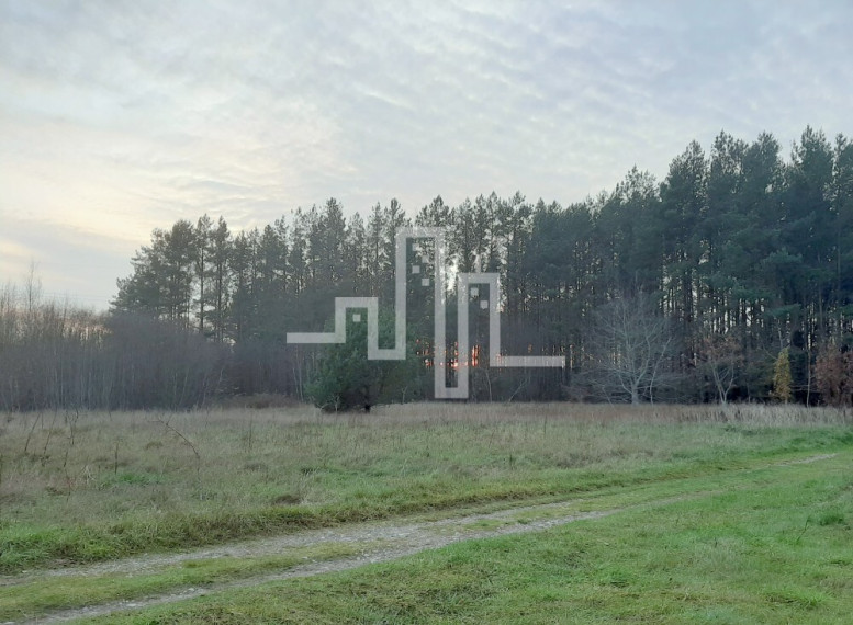 Parduodamas žemės ūkio paskirties sklypas Liepojos pl., Šventoji, Palangos m., Palangos m. sav., 20 a ploto 3