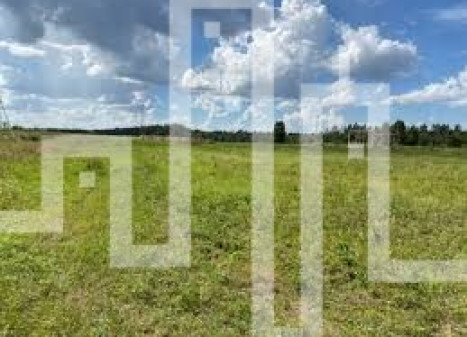 Parduodamas žemės ūkio paskirties sklypas Kurorto g., Palangos m., Palangos m. sav., 124 a ploto Parduodamas žemės ūkio paskirties sklypas Kurorto g., Palangos m., Palangos m. sav., 124 a ploto