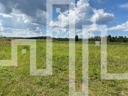 Parduodamas žemės ūkio paskirties sklypas Kurorto g., Palangos m., Palangos m. sav., 124 a ploto 1