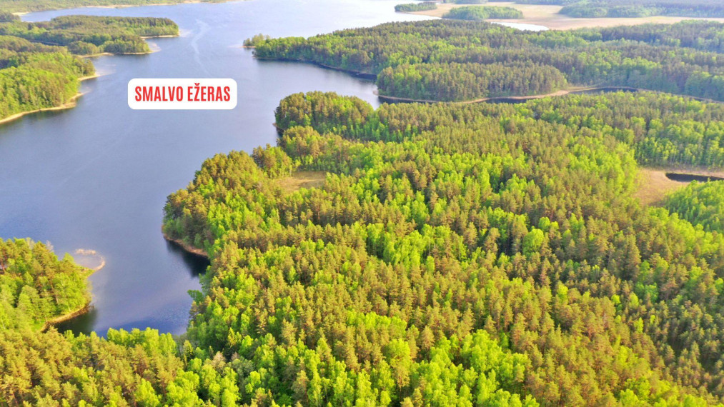 Parduodamas sklypas Salos k., Zarasų r. sav., 163.00 a ploto 1