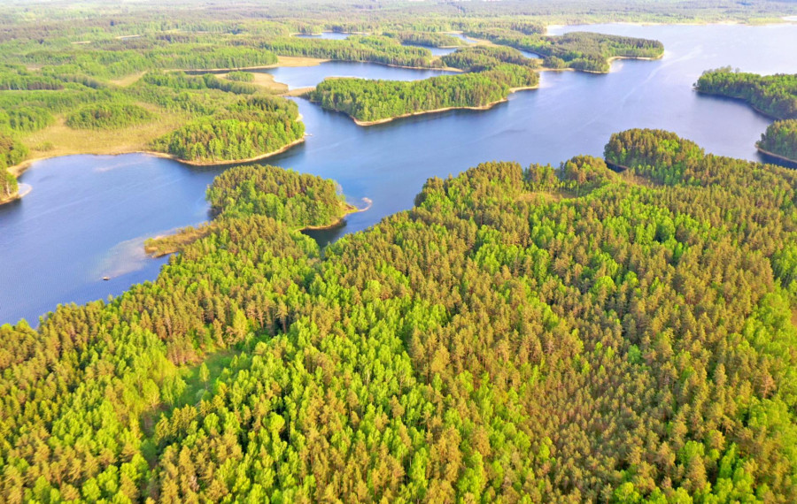 Parduodamas sklypas Salos k., Zarasų r. sav., 163.00 a ploto 2