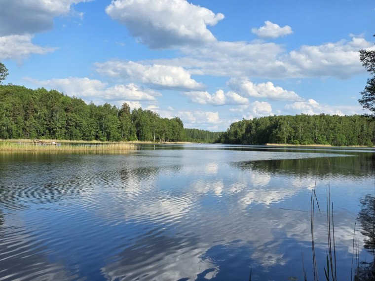 Parduodamas sklypas Salos k., Zarasų r. sav., 163.00 a ploto 4