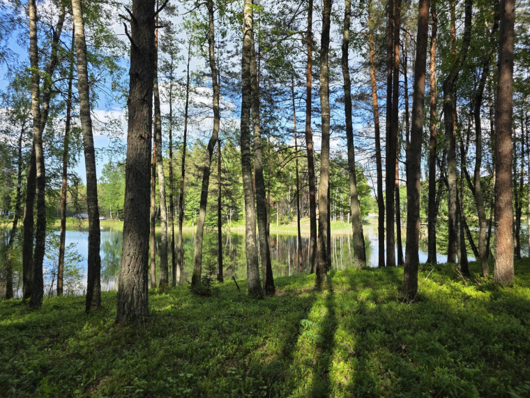 Parduodamas sklypas Salos k., Zarasų r. sav., 163.00 a ploto 7