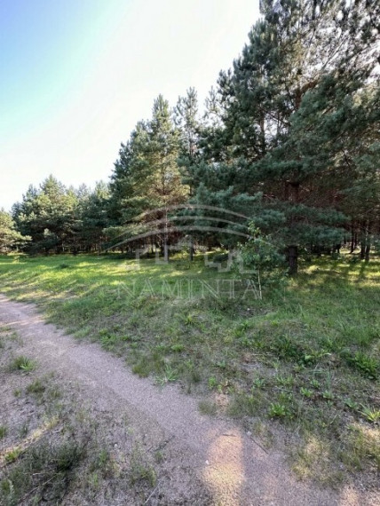 Parduodamas  sklypas Kisinių k., Klaipėdos r. sav., 29 a ploto 2