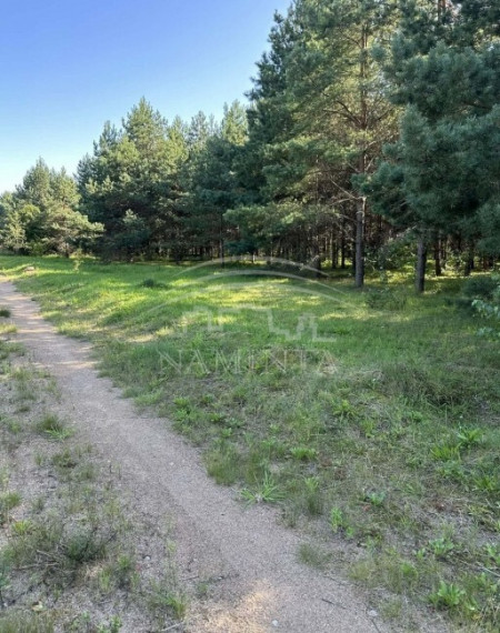 Parduodamas  sklypas Kisinių k., Klaipėdos r. sav., 29 a ploto 4