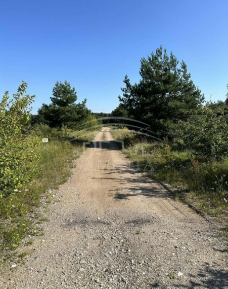Parduodamas  sklypas Kisinių k., Klaipėdos r. sav., 29 a ploto 7