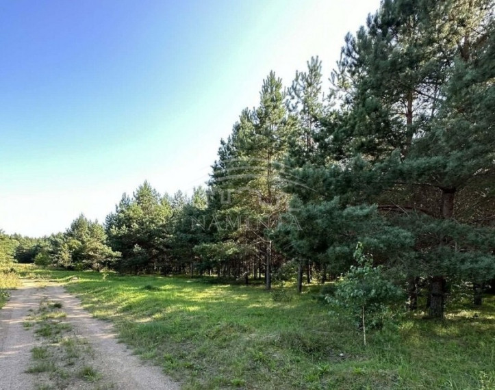 Parduodamas  sklypas Kisinių k., Klaipėdos r. sav., 29 a ploto 9