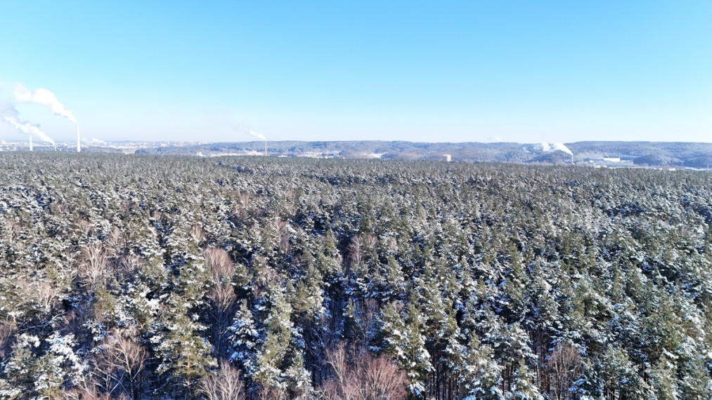 Nuomojamas butas Lazdynėlių g., Lazdynėliai, Vilniaus m., Vilniaus m. sav., 59 m2 ploto, 3 kambariai 19