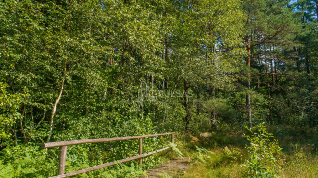 Parduodamas daugiaaukštės gyvenamosios paskirties sklypas Liepojos pl., Šventoji, Palangos m., Palangos m. sav., 20 a ploto 4