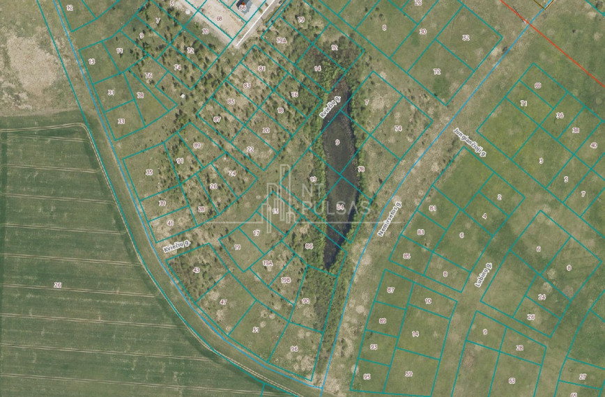 Parduodamas daugiaaukštės gyvenamosios paskirties sklypas Nemirsetos g., Vilimiškės, Palangos m., Palangos m. sav., 20 a ploto 1