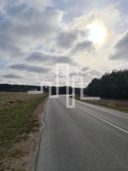 Parduodamas komercinės paskirties sklypas Žibų g., Šventoji, Palangos m., Palangos m. sav., 48 a ploto 4