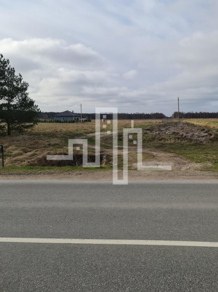 Parduodamas komercinės paskirties sklypas Žibų g., Šventoji, Palangos m., Palangos m. sav., 48 a ploto 6