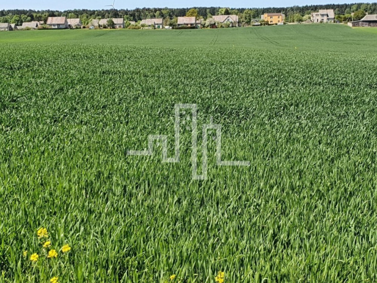 Parduodamas žemės ūkio paskirties sklypas Laukų g., Pryšmančių k., Kretingos r. sav., 170 a ploto 3