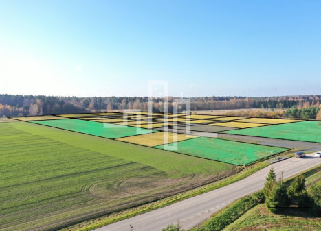 Parduodamas daugiaaukštės gyvenamosios paskirties sklypas Želvių g., Želvių k., Kretingos r. sav., 12 a ploto Parduodamas daugiaaukštės gyvenamosios paskirties sklypas Želvių g., Želvių k., Kretingos r. sav., 12 a ploto