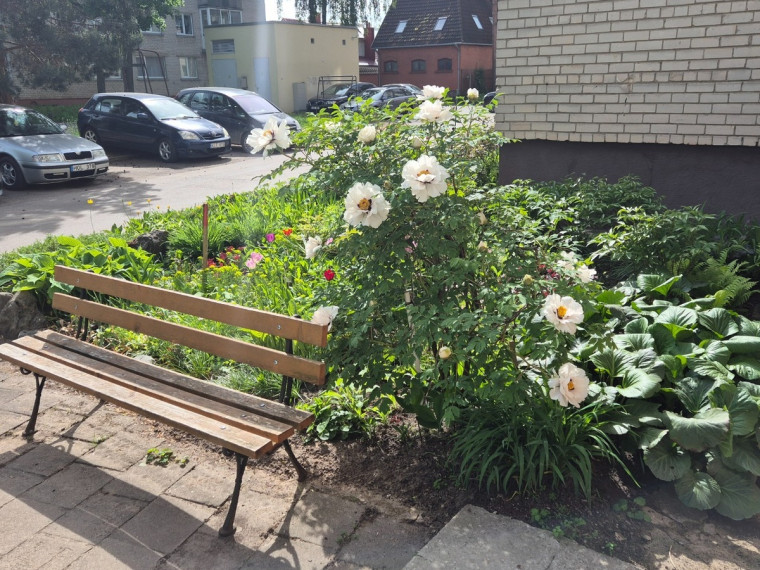 Parduodamas butas Rambyno g., Panevėžio m., Panevėžio m. sav., 53.88 m2 ploto, 2 kambariai 3